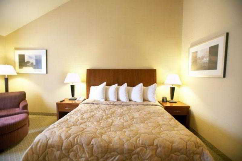Hilton Garden Six Flags Hotel